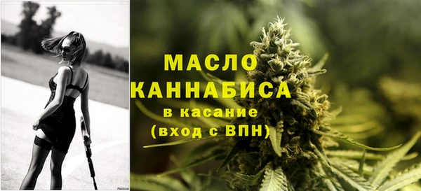 тгк Абаза